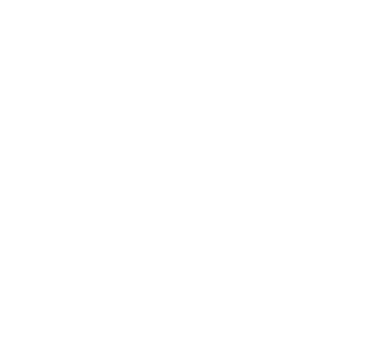 Apex logo mark