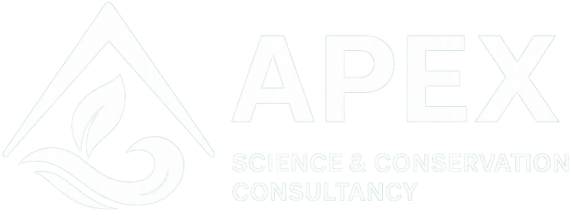 Apex logo