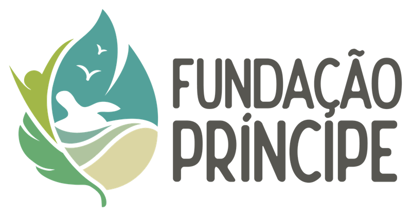 Fundação Príncipe